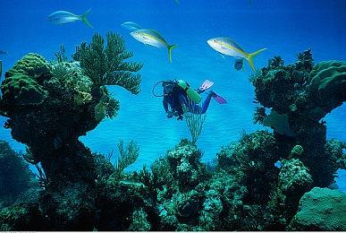 《无限机兵》新实机演示 宣布延期至2025年3月27日发售